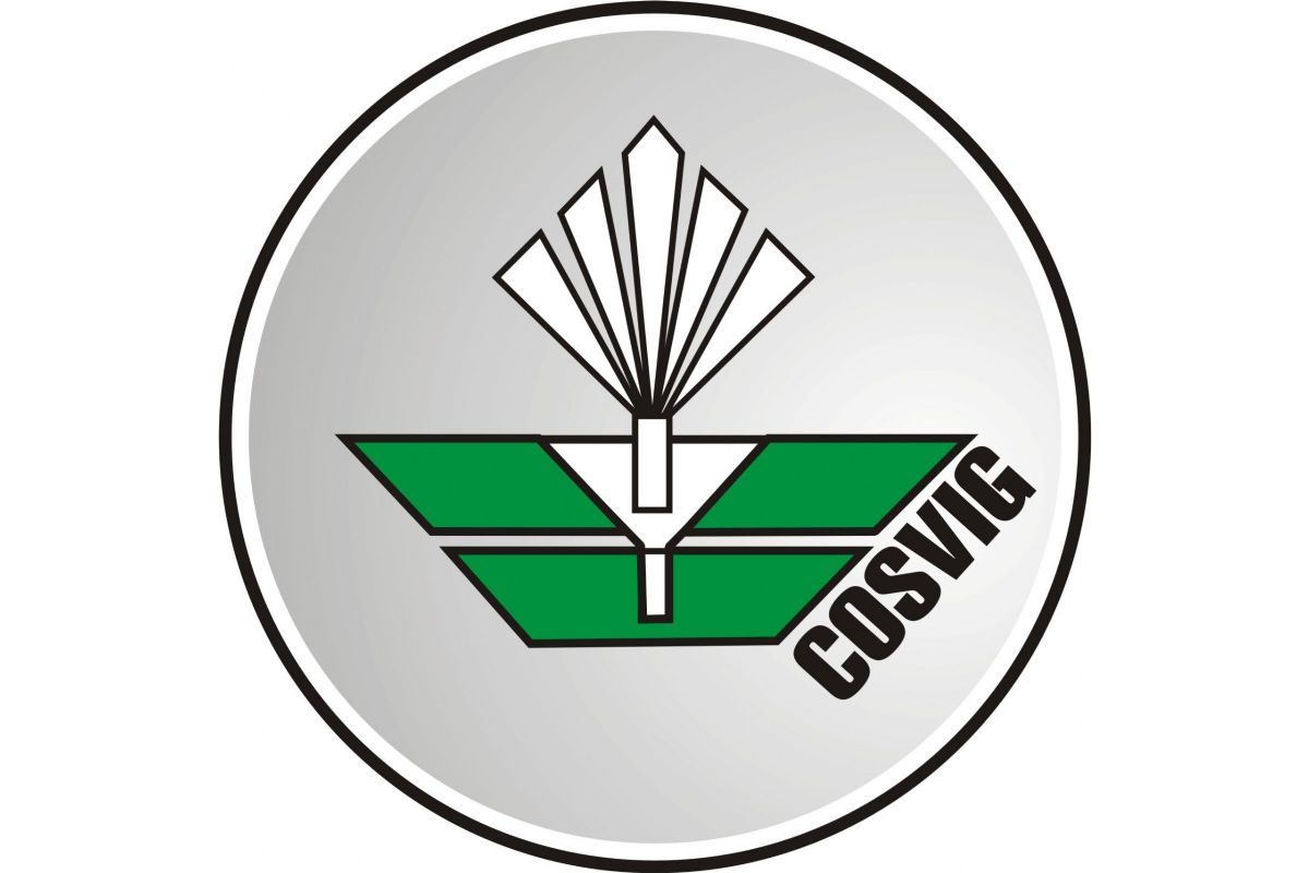 cosvig